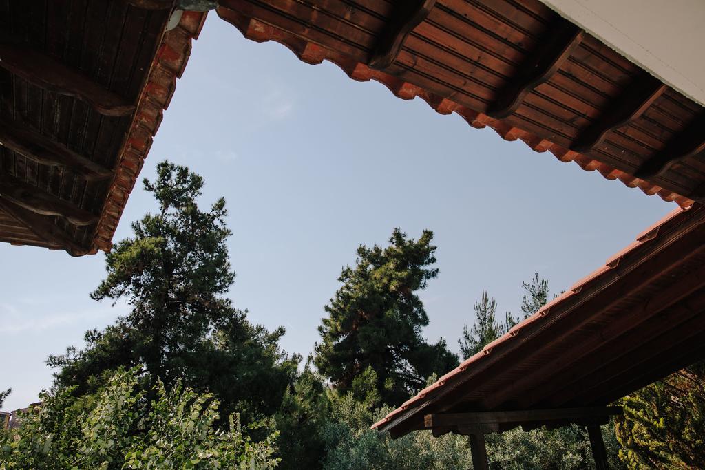 Stachtaris Apartment Psakoudia