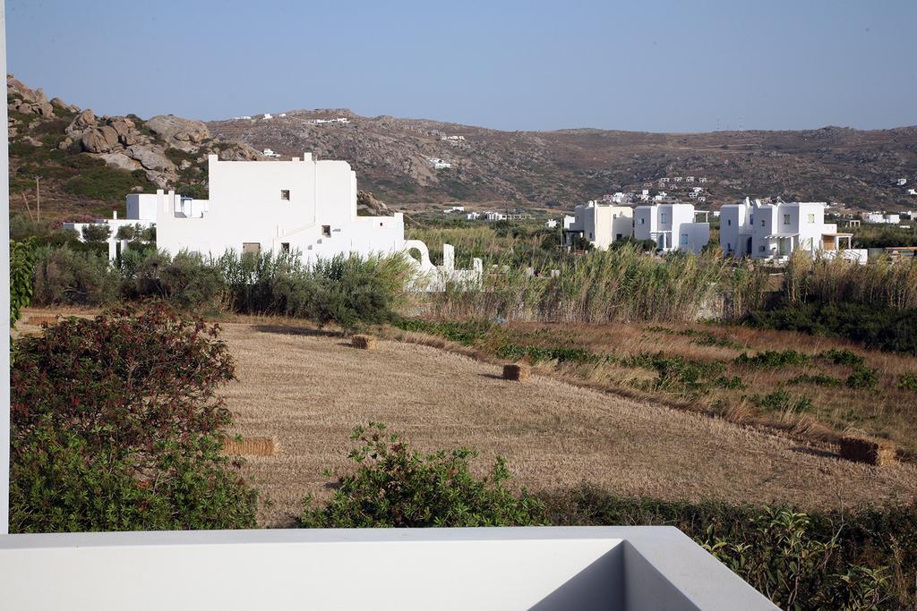 Amfitriti's Apartment Naxos City