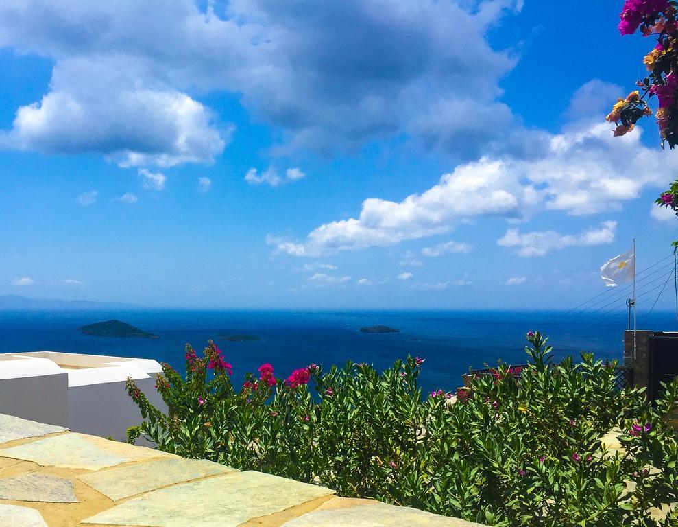 Andros Prive Kipri (Andros)