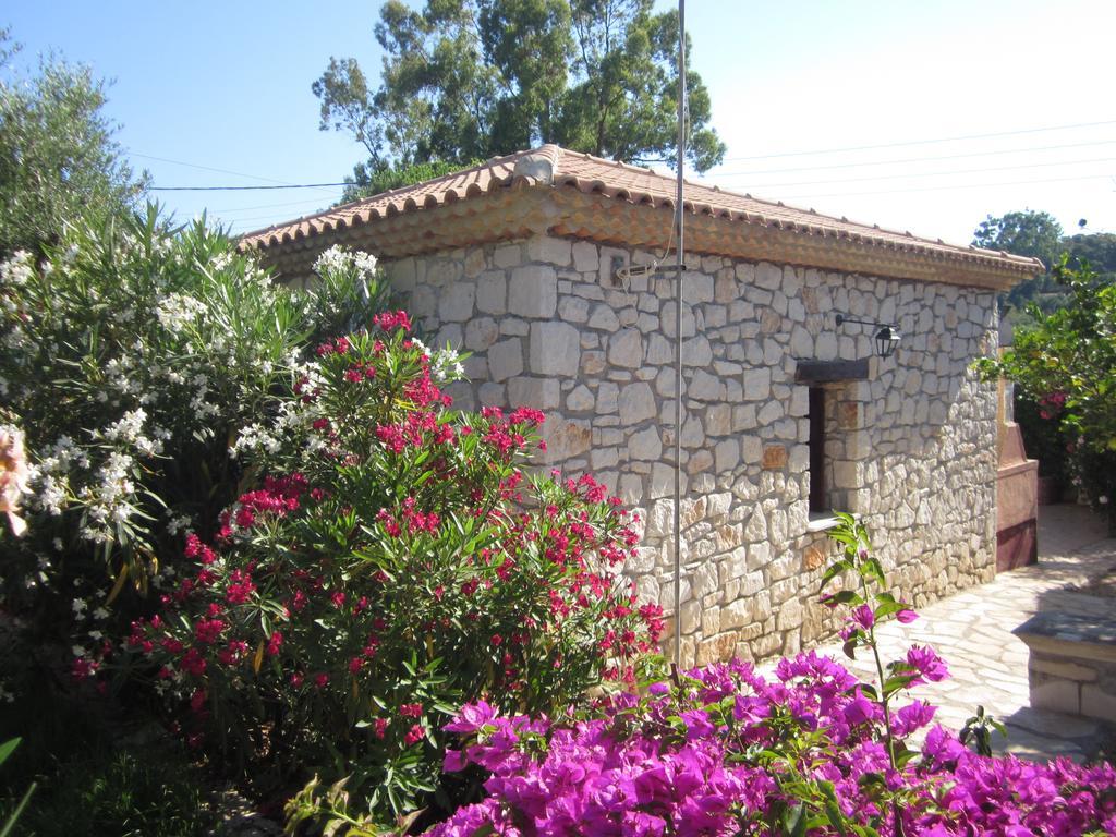 Artemis Vassilikos 3* Vasilikos (Zakynthos)