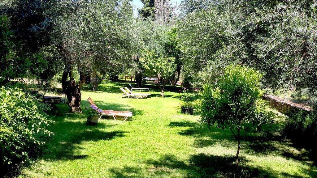Galini Apartment Sivota (Epirus)