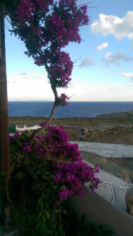 Rodi Faros (Sifnos)