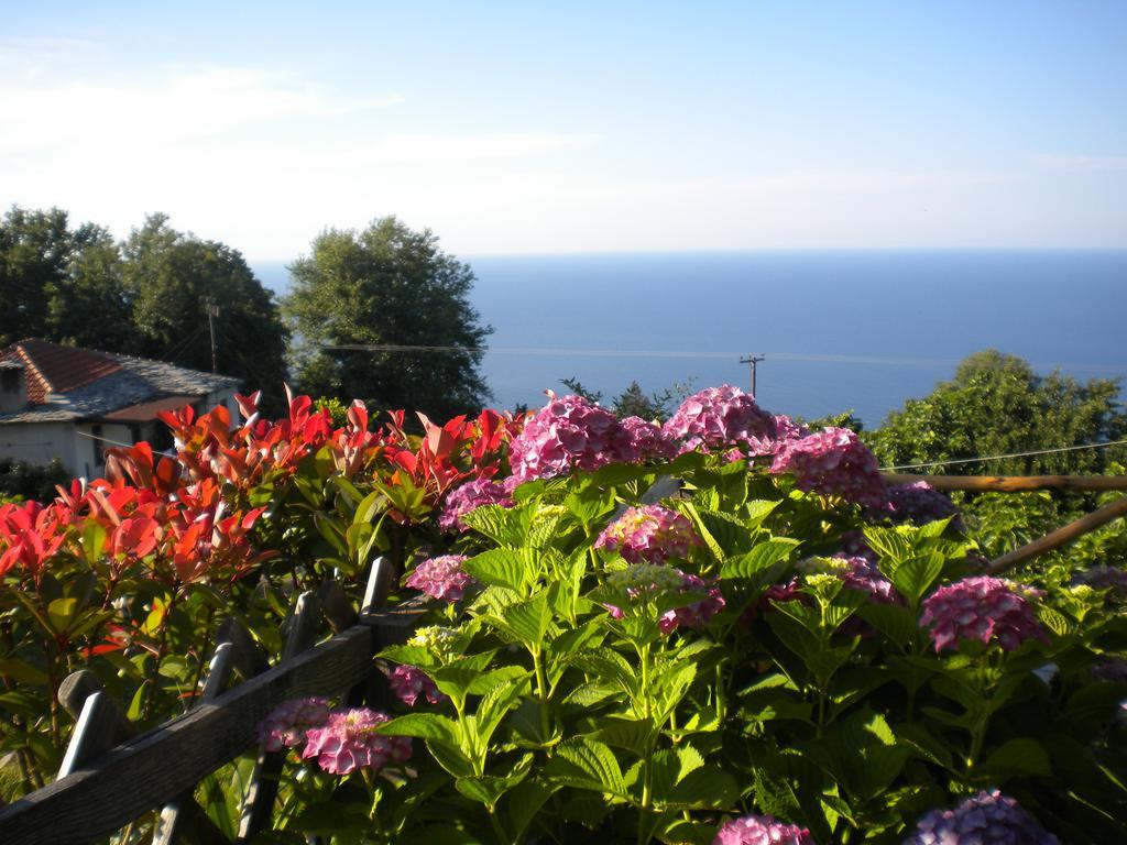 Marelmy Holiday home