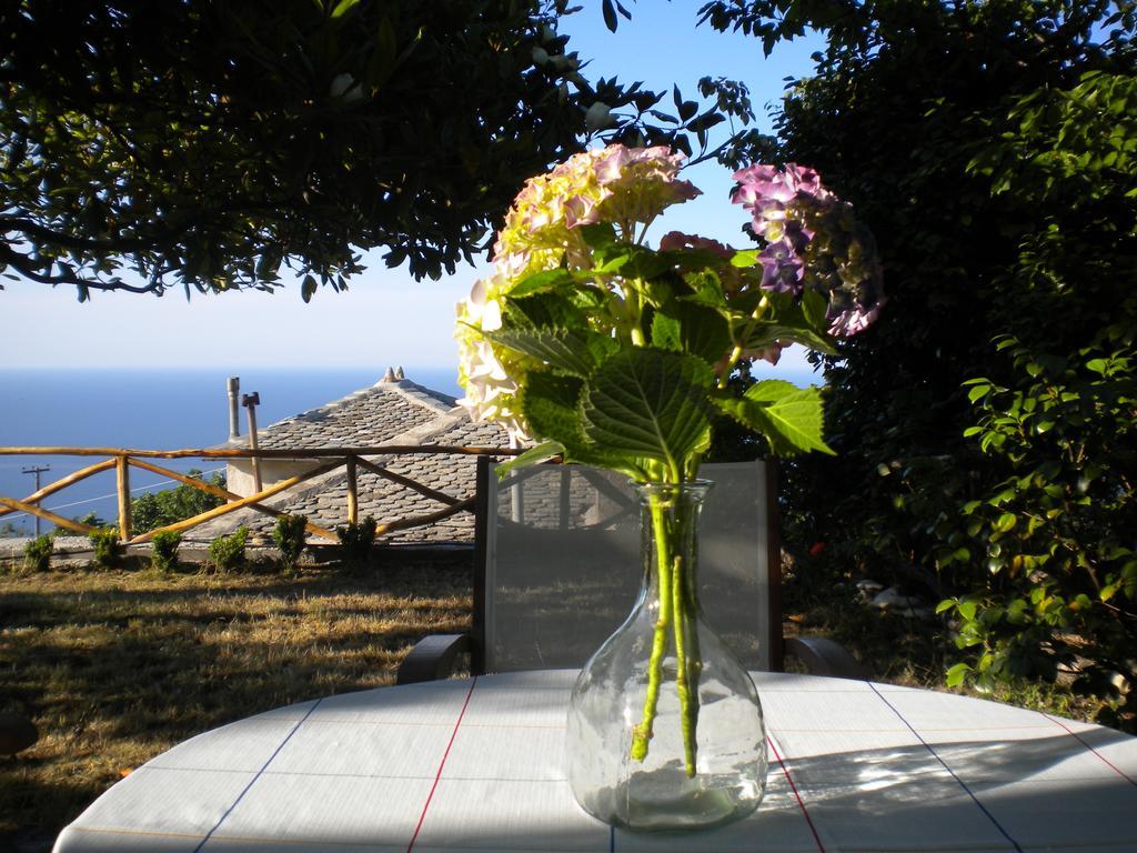Marelmy Holiday home