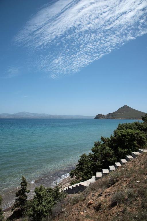 Ariakas *