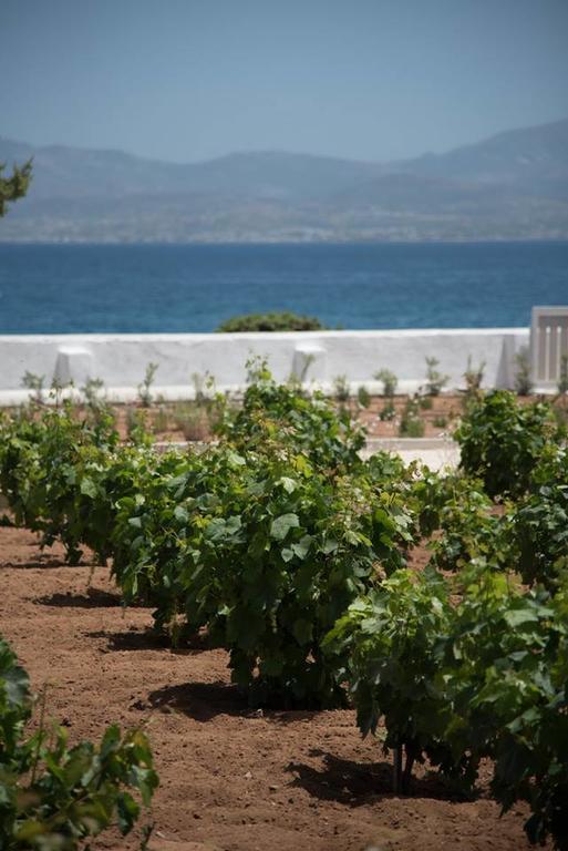 Ariakas Holiday home *