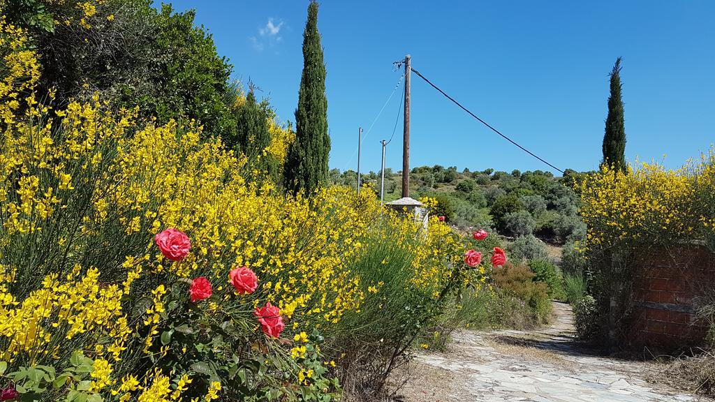 The Nereids-erato Country house Potistika