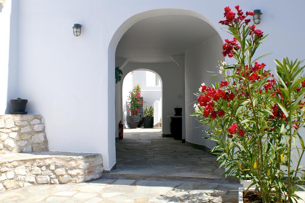 Adonis & Naousa (Paros)