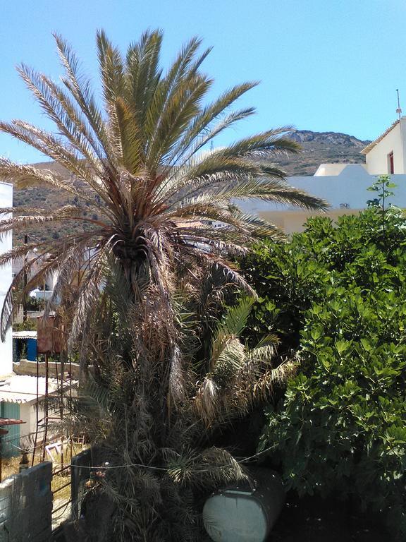 Nektaria On The *
