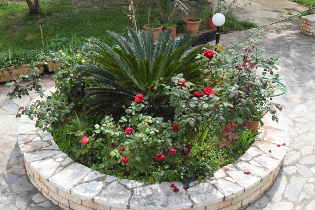 Lydia & Guest house Preveza