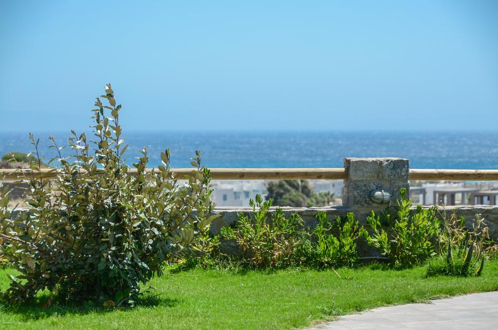 Naxos Luxury * Mikri Vigla