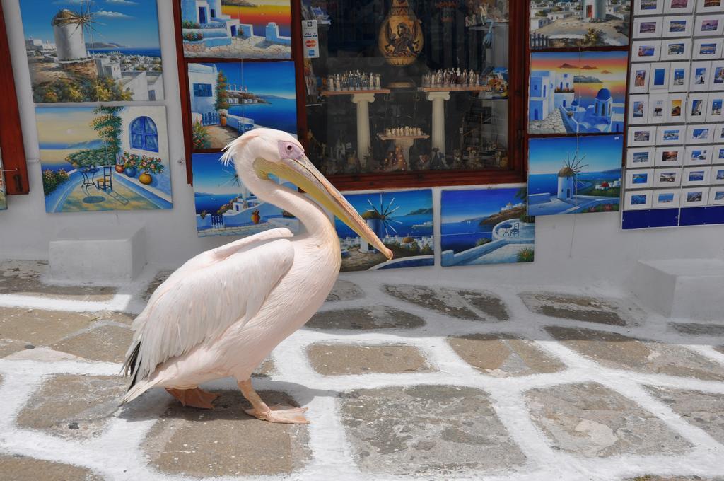 Bleland Mykonos