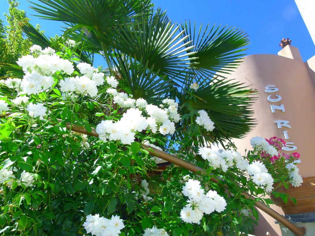 Sun Rise Hotel 3*