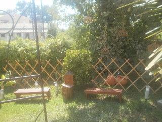 Palm Grove Complex Hotel 3*