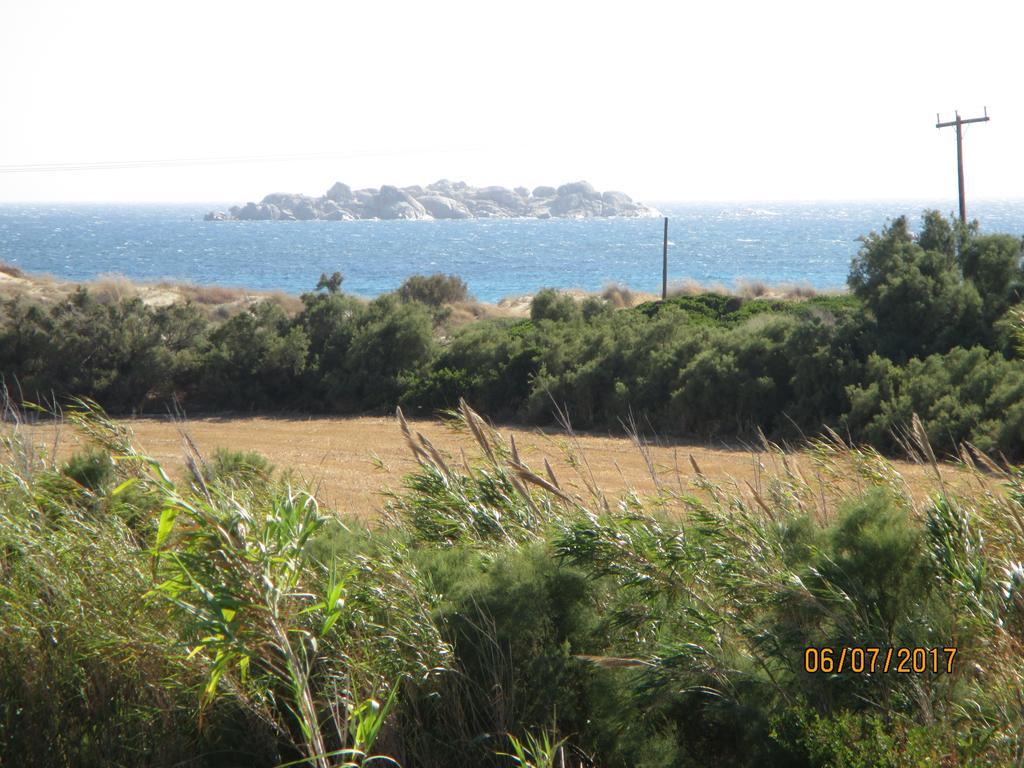 Sea Shell * Plaka (Naxos)