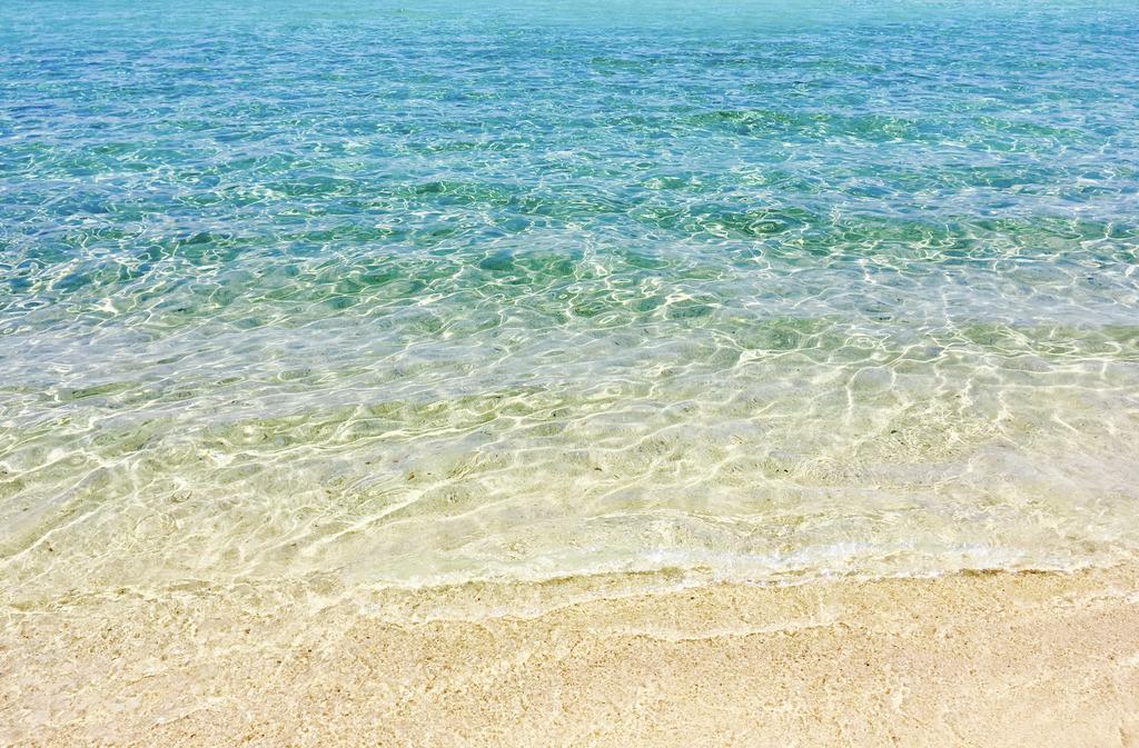 Holiday home Seaview Dreams