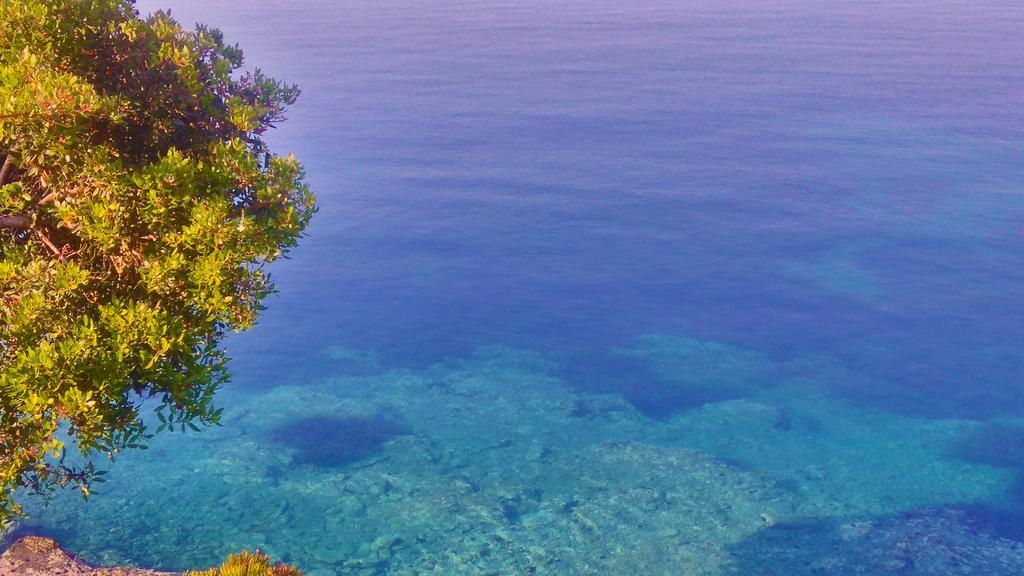 To Spitaki