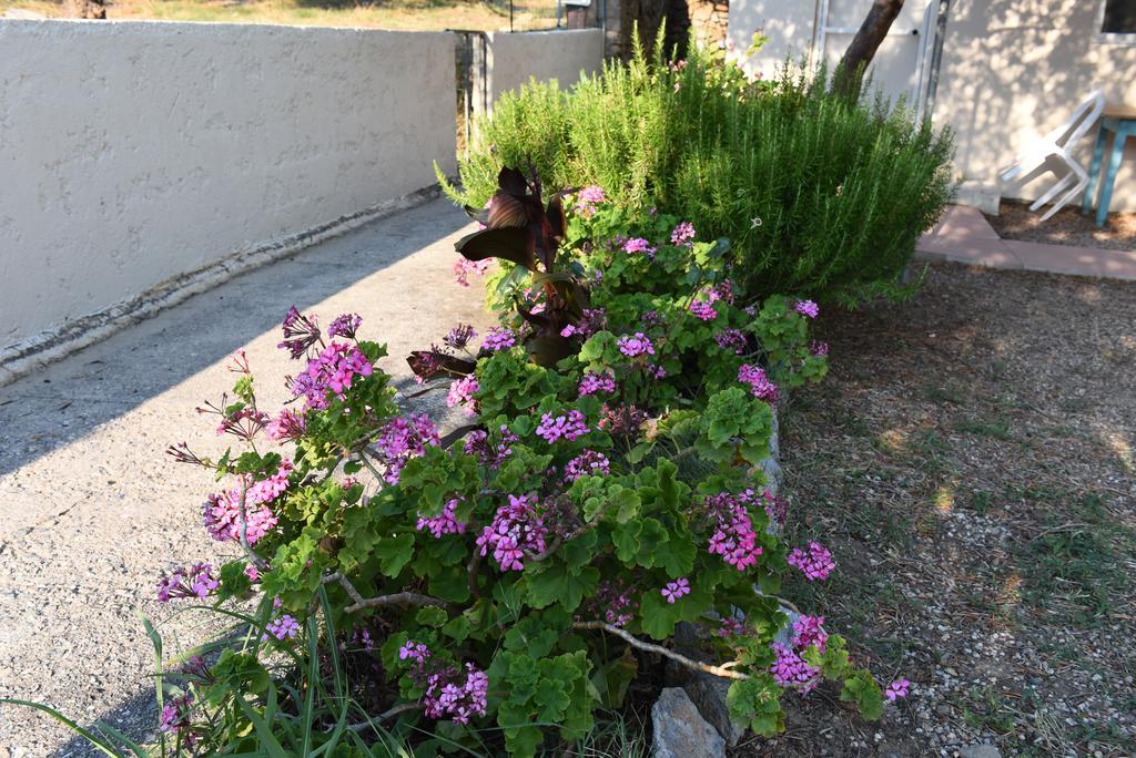 Antonis Apts, Physio Fitness Retreats Apartment Plakias