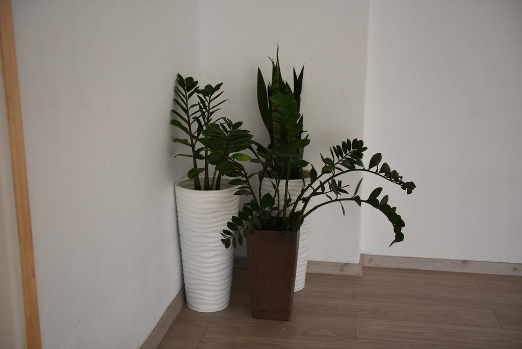 Antonis Apts, Physio Fitness Retreats Apartment