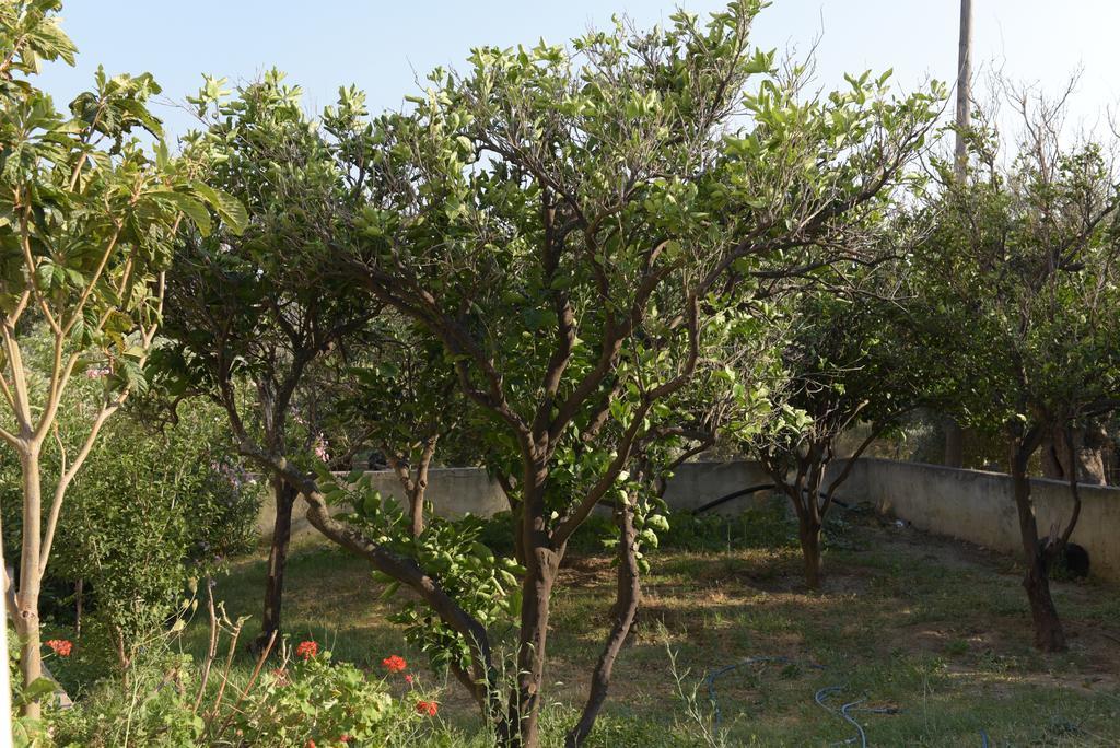 Apartment Antonis Apts, Physio Fitness Retreats