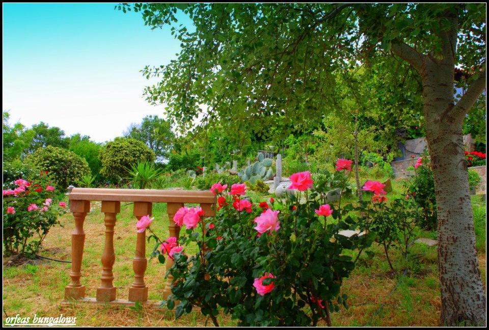 Orfeas Bungalows Apartment Mithymna