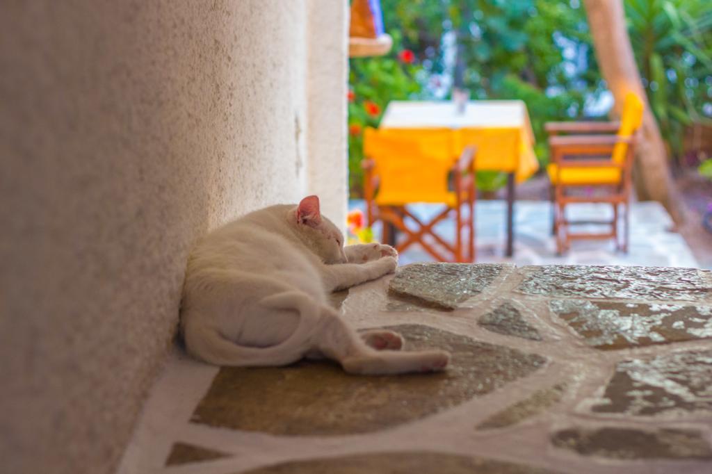 Vagia Traditional, Aegina Island Hotel 3*