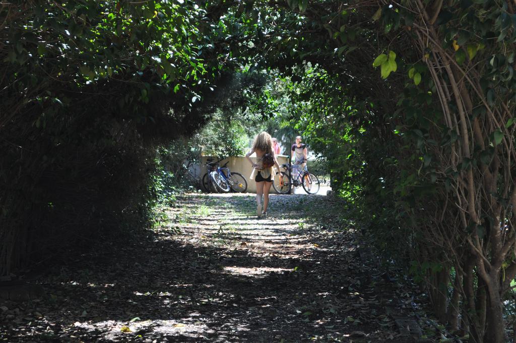 The White Rabbit Eco-lodge 
