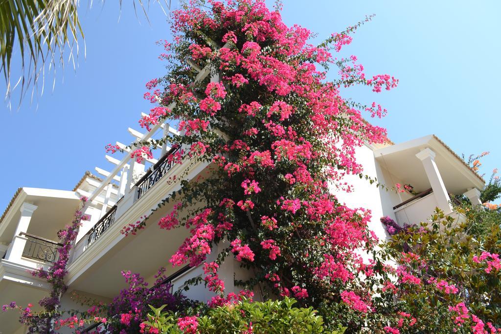 Hotel Delfino Blu Wellness Boutique Agios Stefanos Avliotes (Corfu)