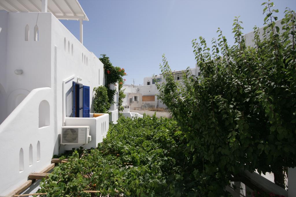 Jasmine Guest house 3*