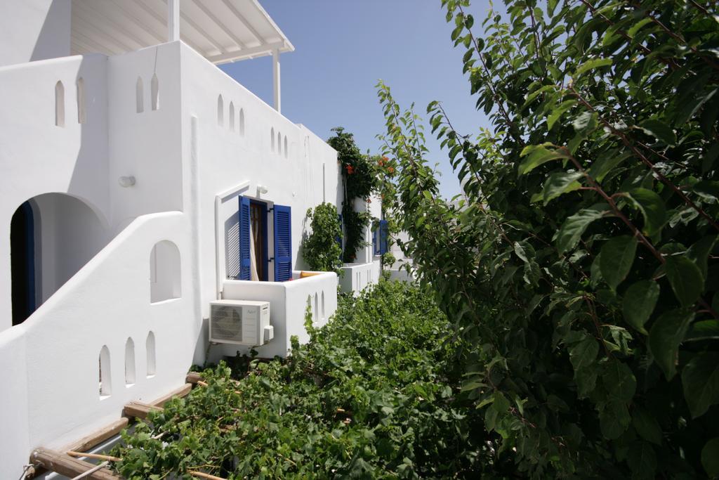 Jasmine 3* Parikia (Paros)