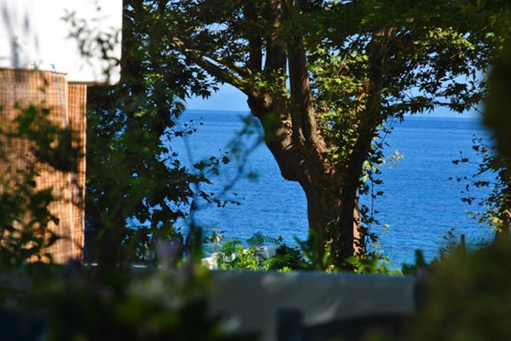 Archondissa 3* Therma (Samothraki)