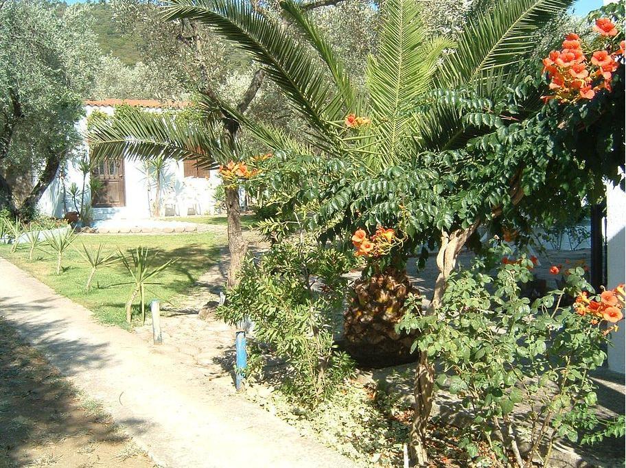 Apartment Pleiades And Maisonettes Stafylos