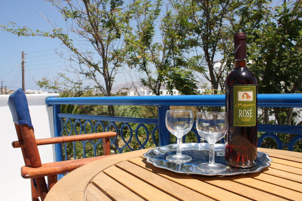 Aparthotel Katerina Babis