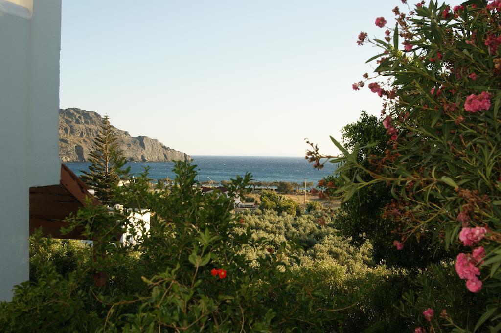 Hotel Lofos 2*