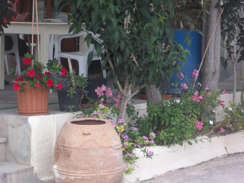 Knossos 2*
