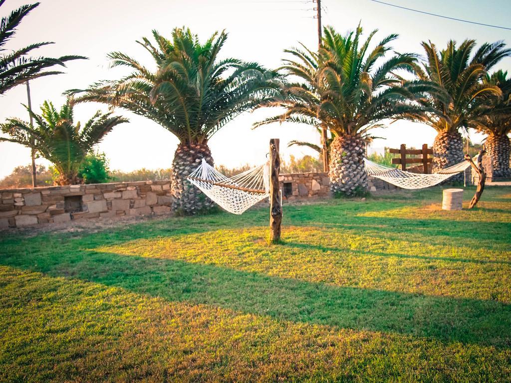 Sunset *