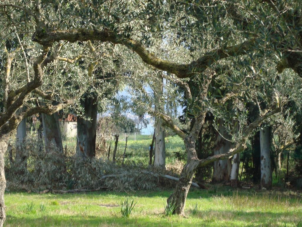 Castelli Hotel-adults Only Hotel 4*