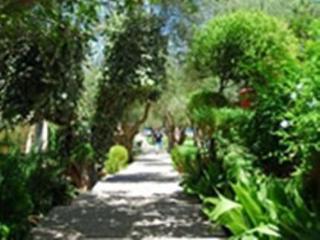 Florida Blue Bay & 4* Psathopyrgos