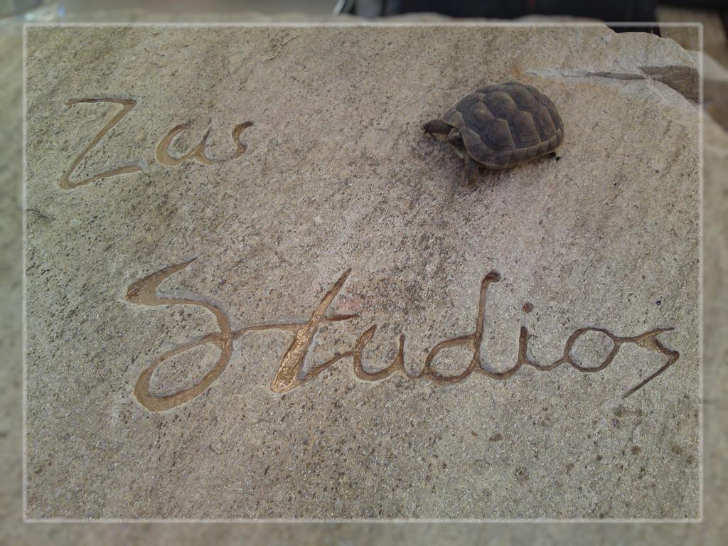 Zas Studios Apartment *