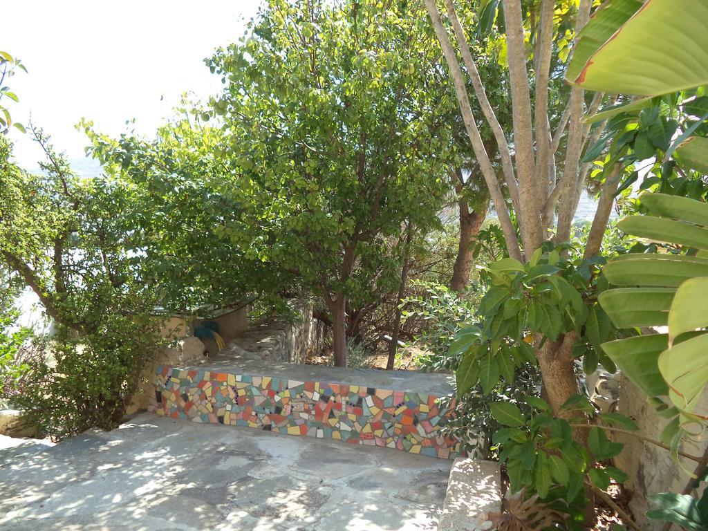 Anthippi (adults Only) 3*