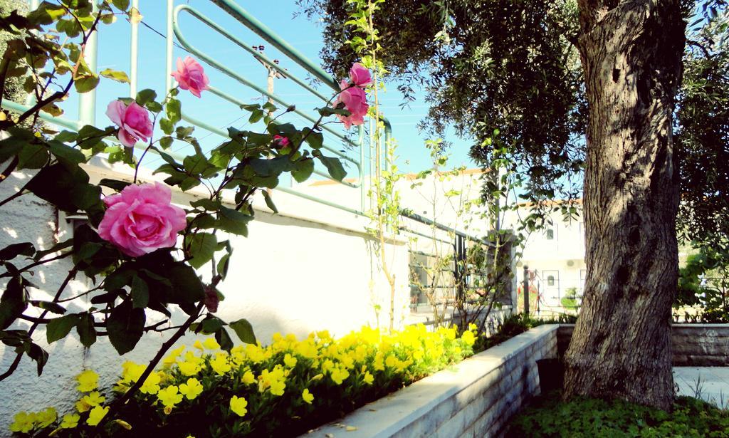 Aparthotel Soti Chrysi Ammoudia