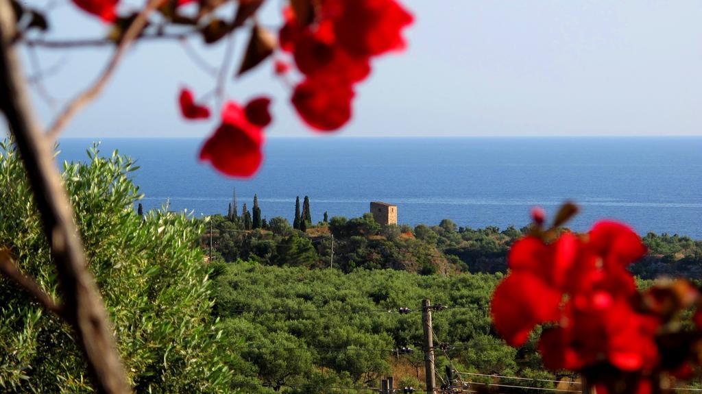 Papanestoras Kardamyli