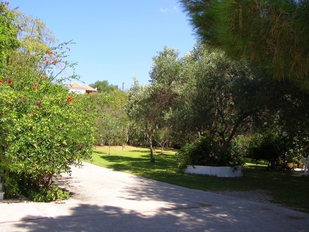 Apartment Polymnia *