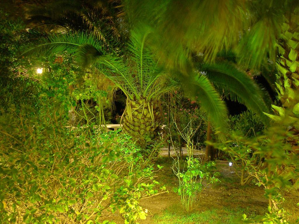 Polymnia Apartment Spartia (Kefalonia)