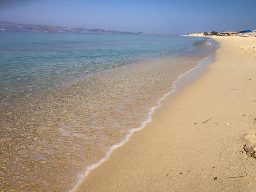 Aronis Naxos Plaka (Naxos)