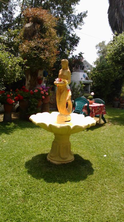 Sophia's House *