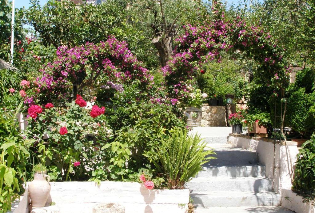 Apartment Apostolos & Eleni Family Perama (Corfu)