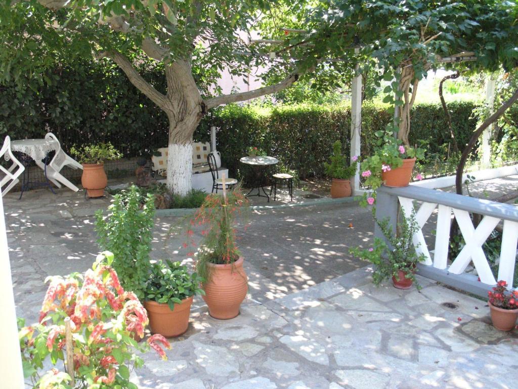 Alexandra Studios Stafylos