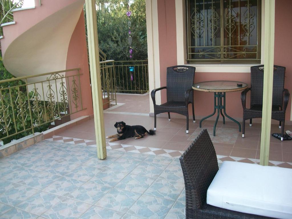 Ramona Apartment