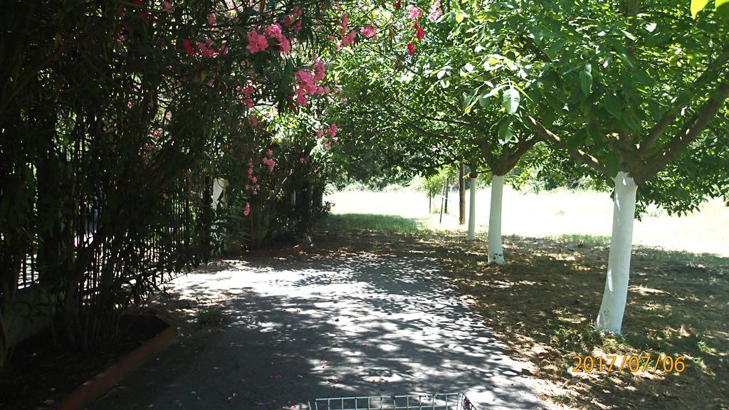 Holiday home Garden Valentina Stavros (Thessaloniki)
